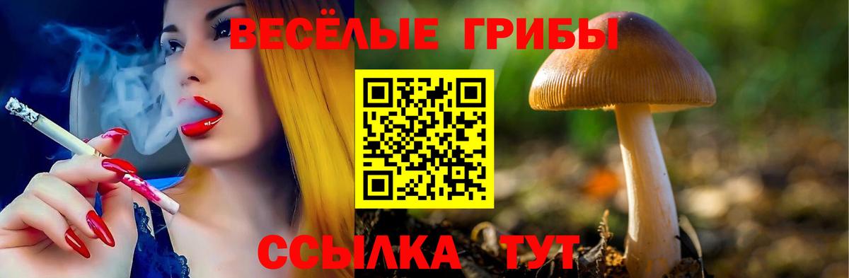 Галлюциногенные грибы прущие грибы Озёры